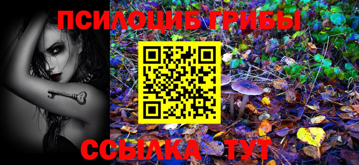 Псилоцибиновые грибы прущие грибы  Вход с VPN  Ноябрьск 