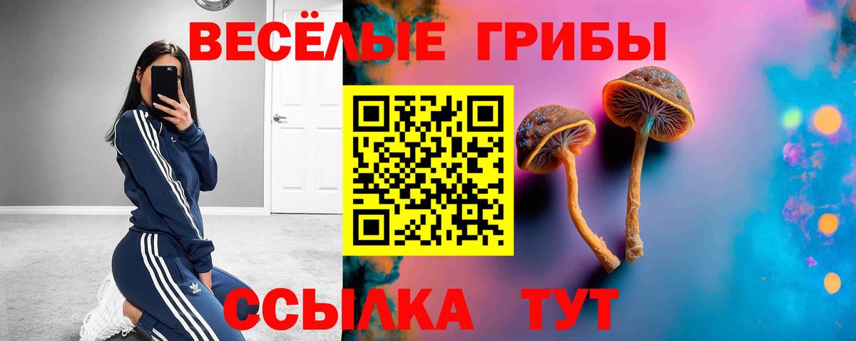 Псилоцибиновые грибы мухоморы Ноябрьск