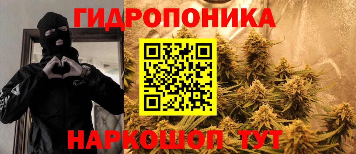 Марихуана SATIVA & INDICA  Бошки марихуана SATIVA & INDICA  Бошки Шишки марихуана  Бошки марихуана марихуана  Ноябрьск  Вход с VPN 